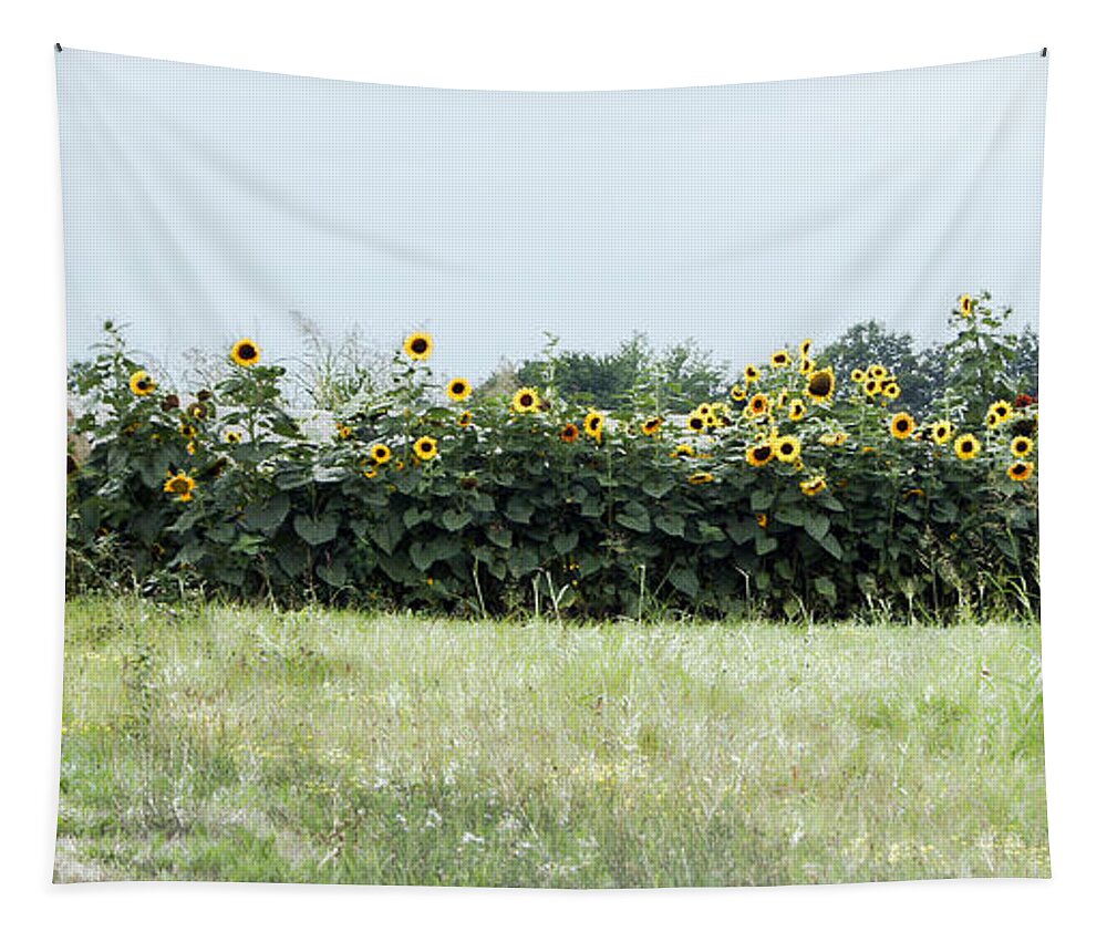 Hay Tapestry featuring the photograph Hay Bales and Sunflowers by Cricket Hackmann