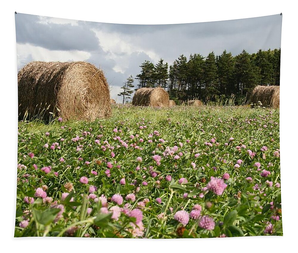 Clover Tapestry featuring the photograph Hay field by Allan Morrison