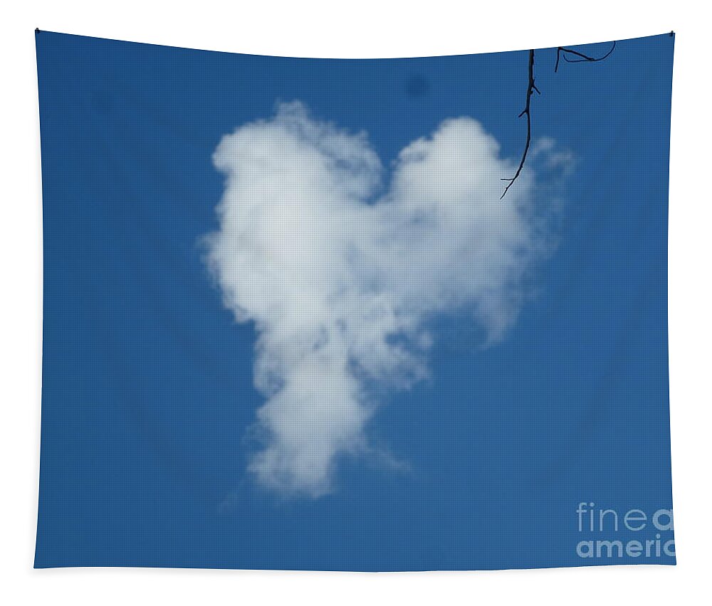 Heart Tapestry featuring the photograph Heart Cloud Bell Rock by Mars Besso