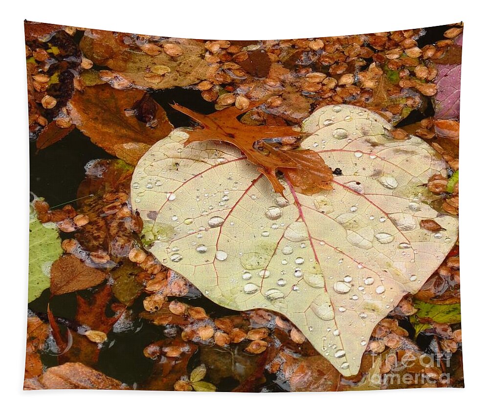 Nature Tapestry featuring the photograph Heart Leaf II by Anita Adams