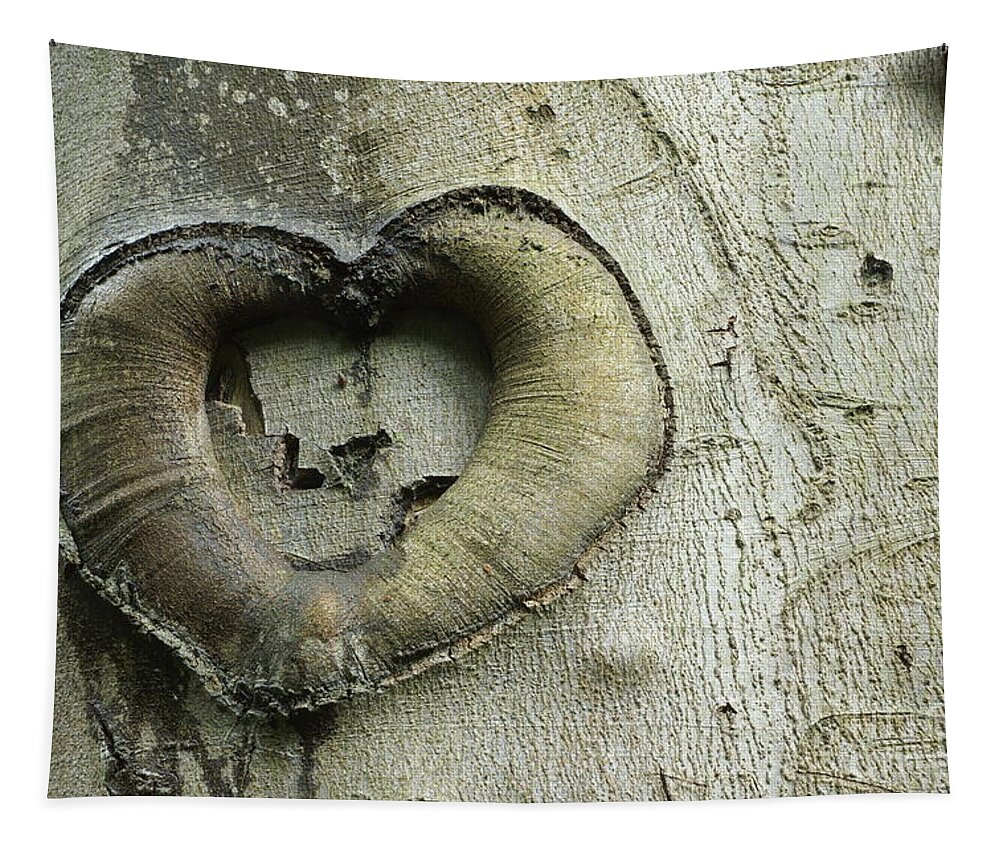 Heart Tapestry featuring the photograph Heart Of The Forest by David Birchall
