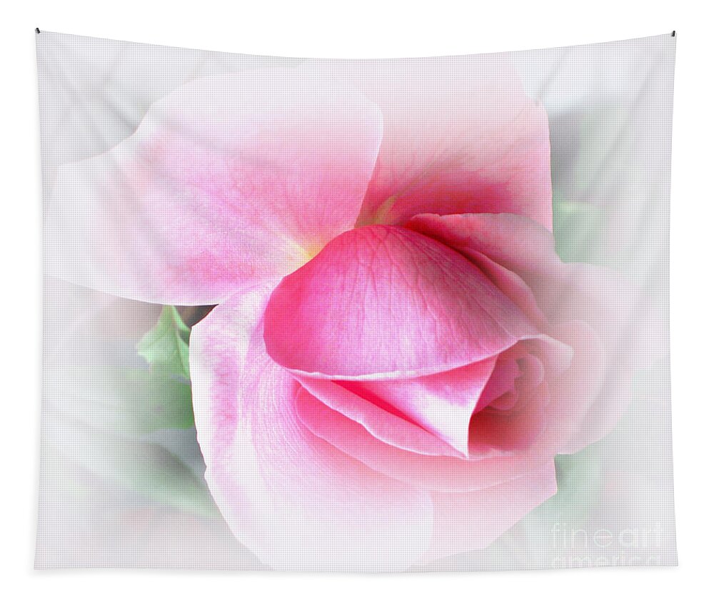 Pink Rose Tapestry featuring the photograph Heartfelt Pink Rose by Judy Palkimas