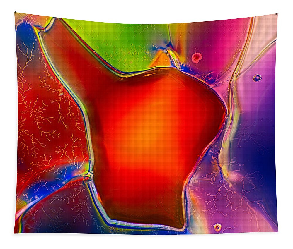 Abstract Tapestry featuring the photograph Hearts by Omaste Witkowski