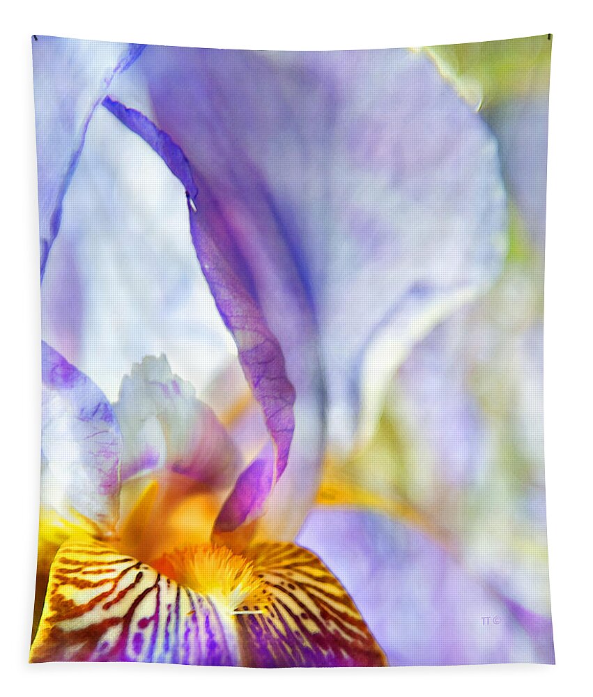 Iris Tapestry featuring the photograph Heavenly Iris by Theresa Tahara