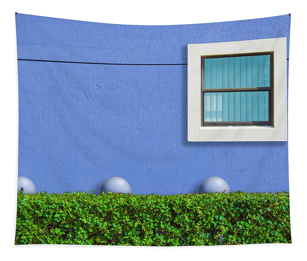 Photography Tapestry featuring the photograph Hedge Fund by Paul Wear