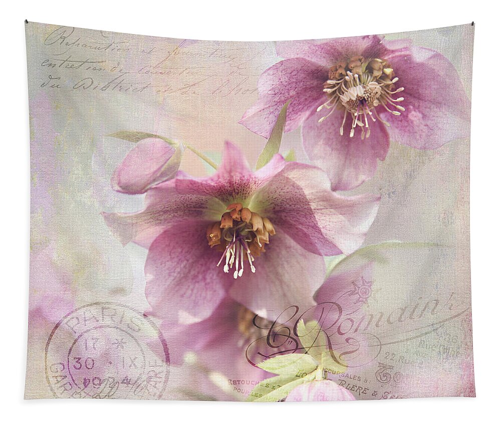 Hellebore Tapestry featuring the photograph Hellebore by Sylvia Cook