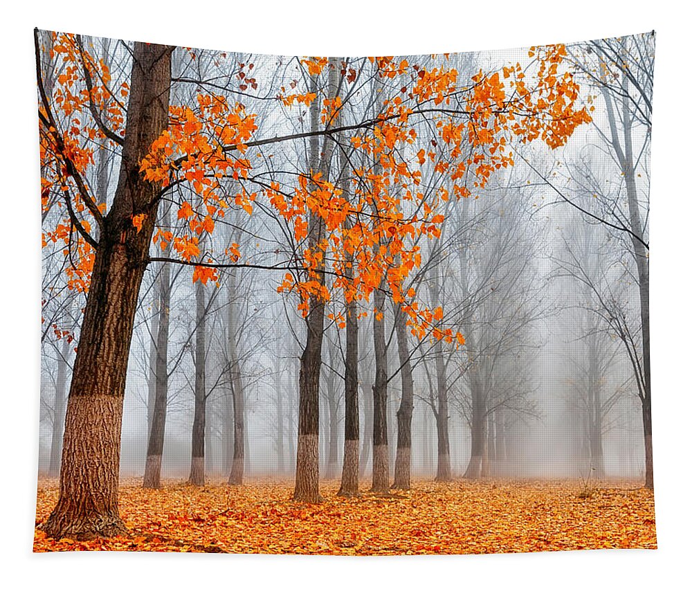 Bulgaria Tapestry featuring the photograph Heralds Of Autumn by Evgeni Dinev