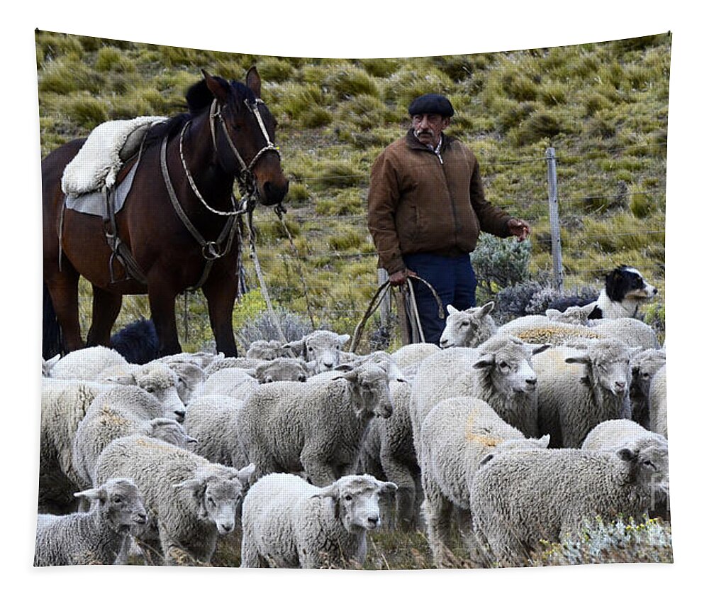  Sheep Tapestry featuring the photograph Herding Sheep Patagonia 3 by Bob Christopher