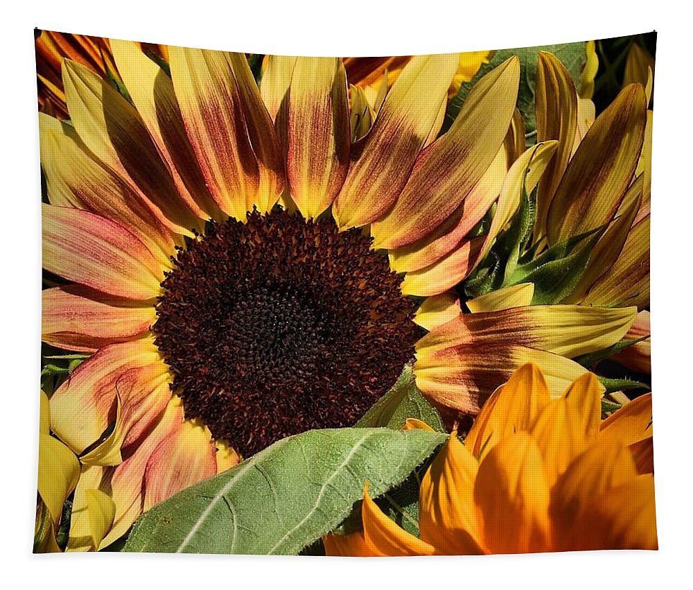 Sunflowers Tapestry featuring the photograph Here Comes The Sun by Robert McCubbin