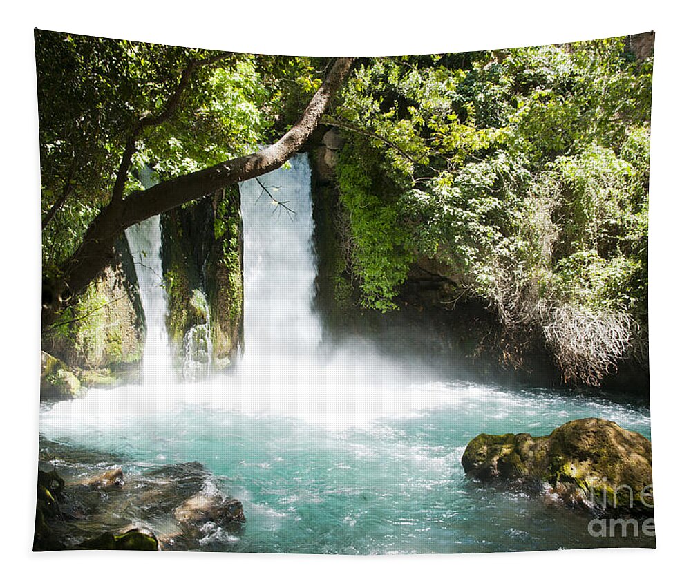 Hermon Tapestry featuring the photograph Hermon Stream Nature reserve-Banias by Amos Gal