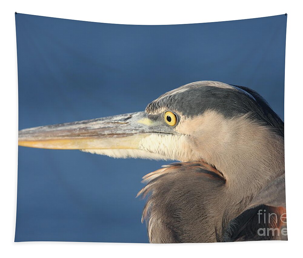 Heron Tapestry featuring the photograph Heron Close-Up by Christiane Schulze Art And Photography