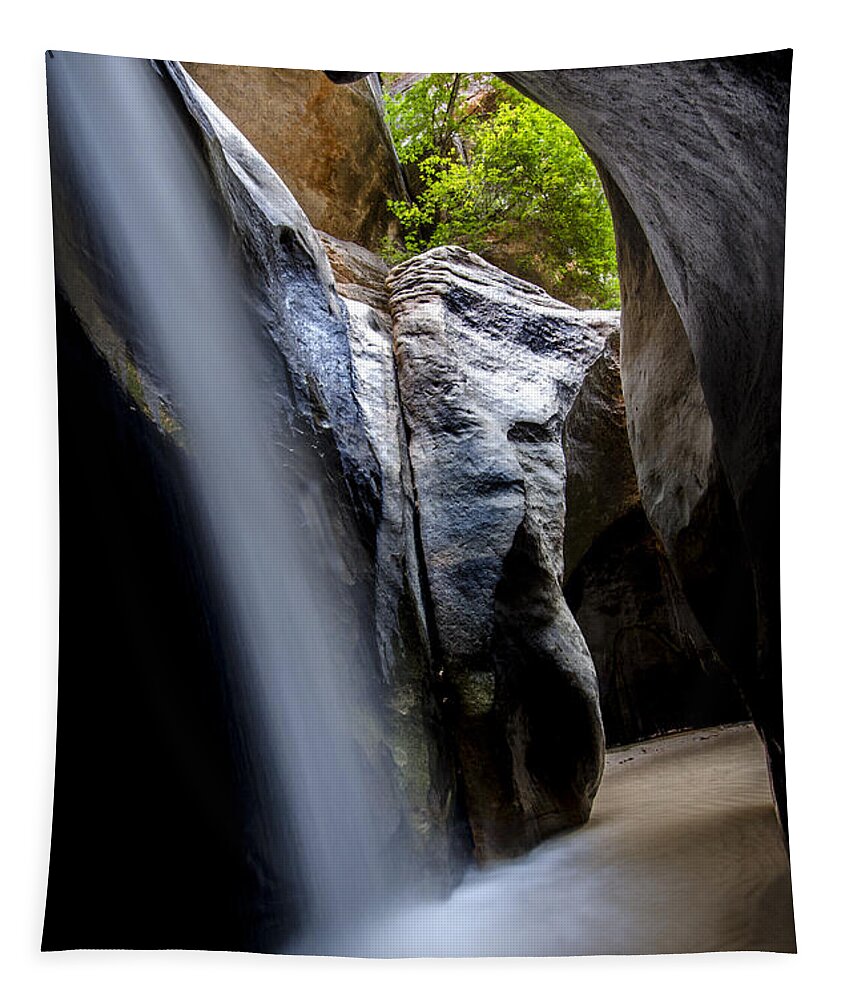 Waterfall Tapestry featuring the photograph Hidden Splendor by Bob Christopher
