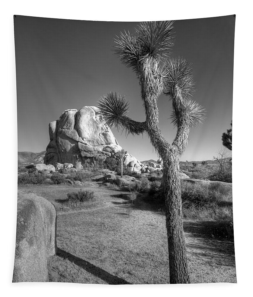  Joshua Tree.california Tapestry featuring the photograph Hidden Valley Joshua by Peter Tellone