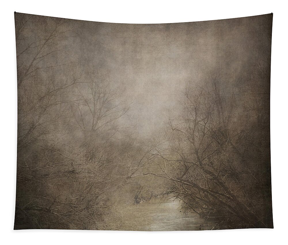 Abstract Nature Art Tapestry featuring the photograph Hidden Waters by Jai Johnson