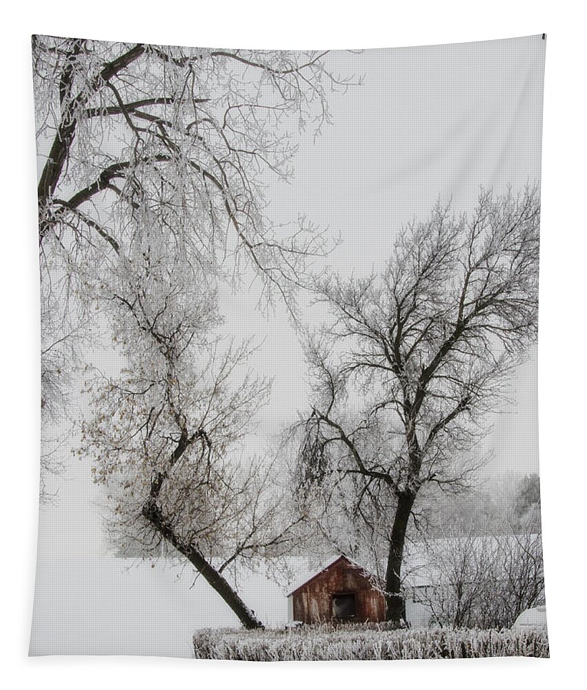 Winter Tapestry featuring the photograph Hide Away by Sandra Parlow