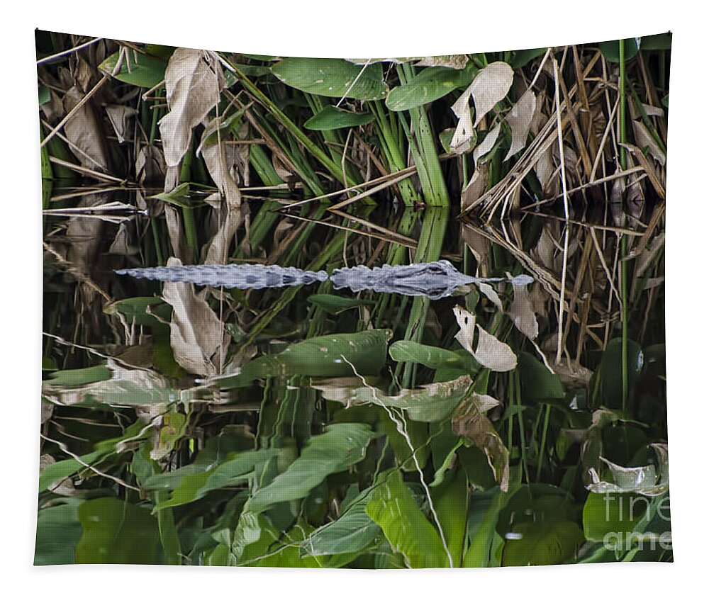  Water Tapestry featuring the photograph Hiding by Judy Wolinsky