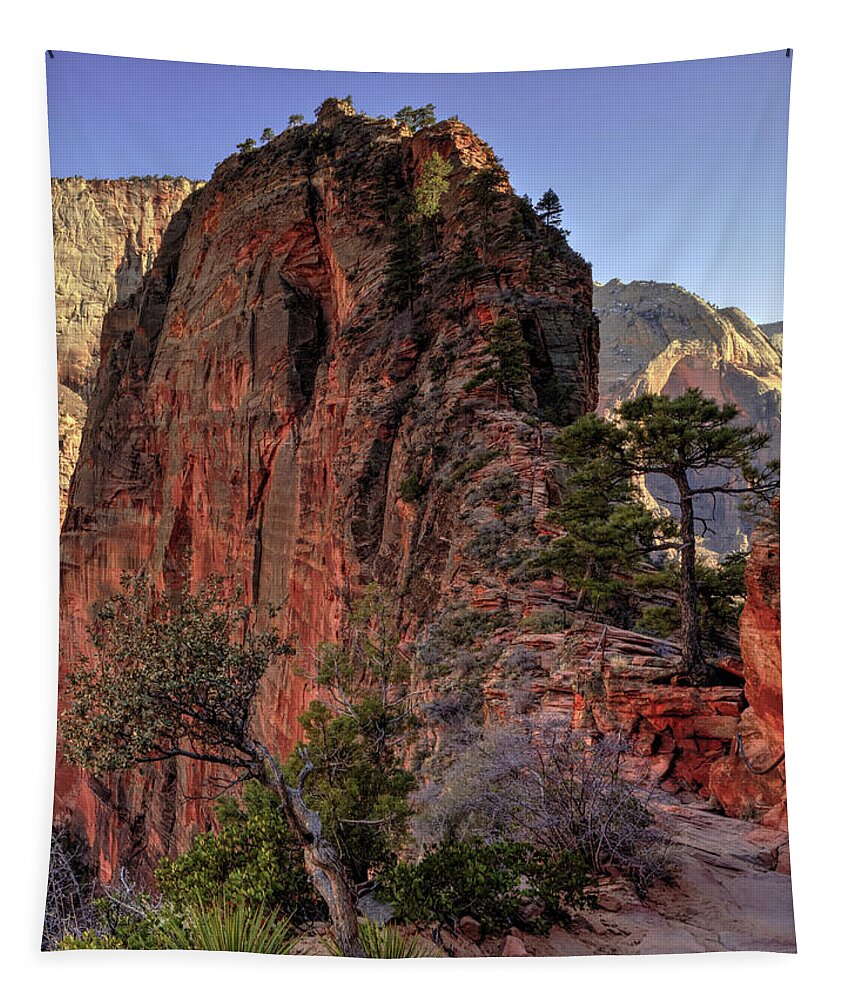 Angels Landing Tapestry featuring the photograph Hiking Angels by Chad Dutson