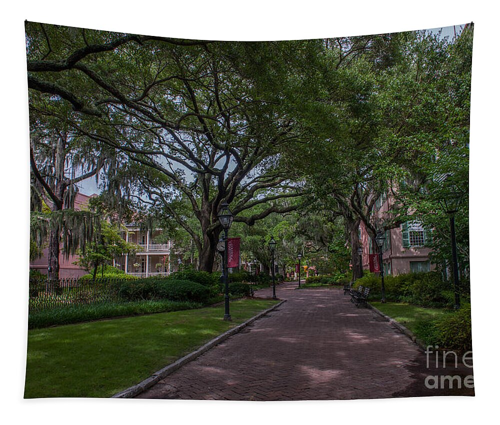 College Of Charleston Tapestry featuring the photograph Historic Campus by Dale Powell