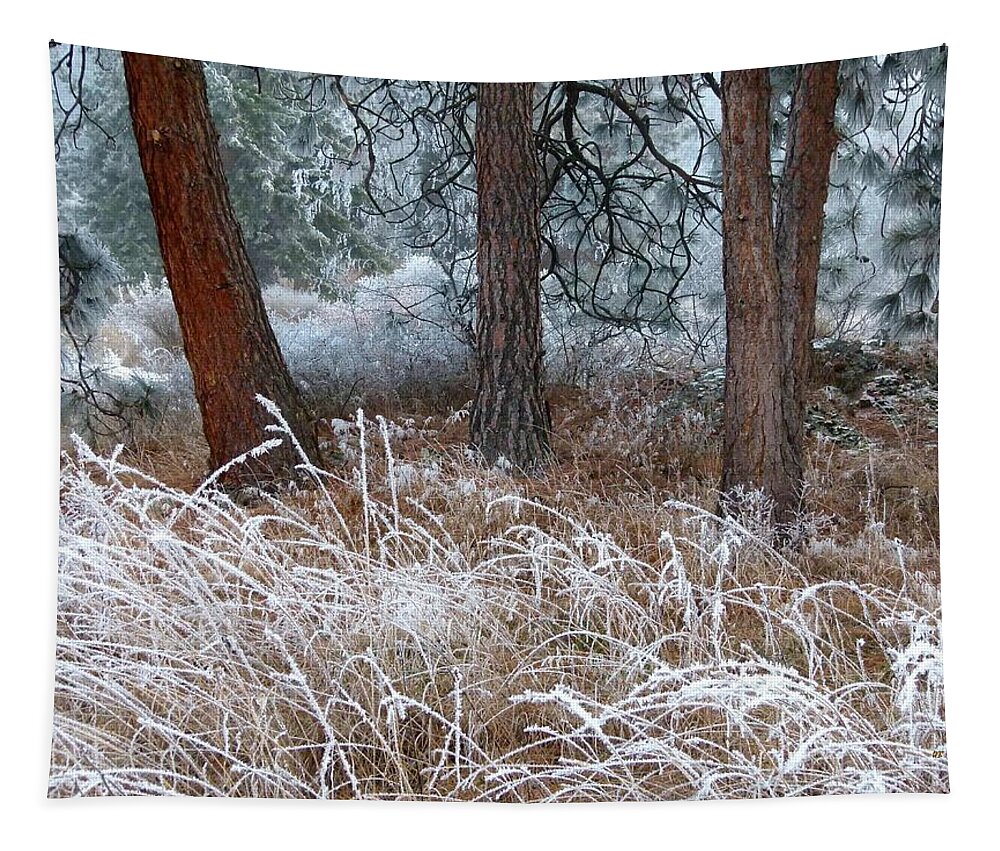 Hoarfrost 22 Tapestry featuring the photograph Hoarfrost 22 by Will Borden