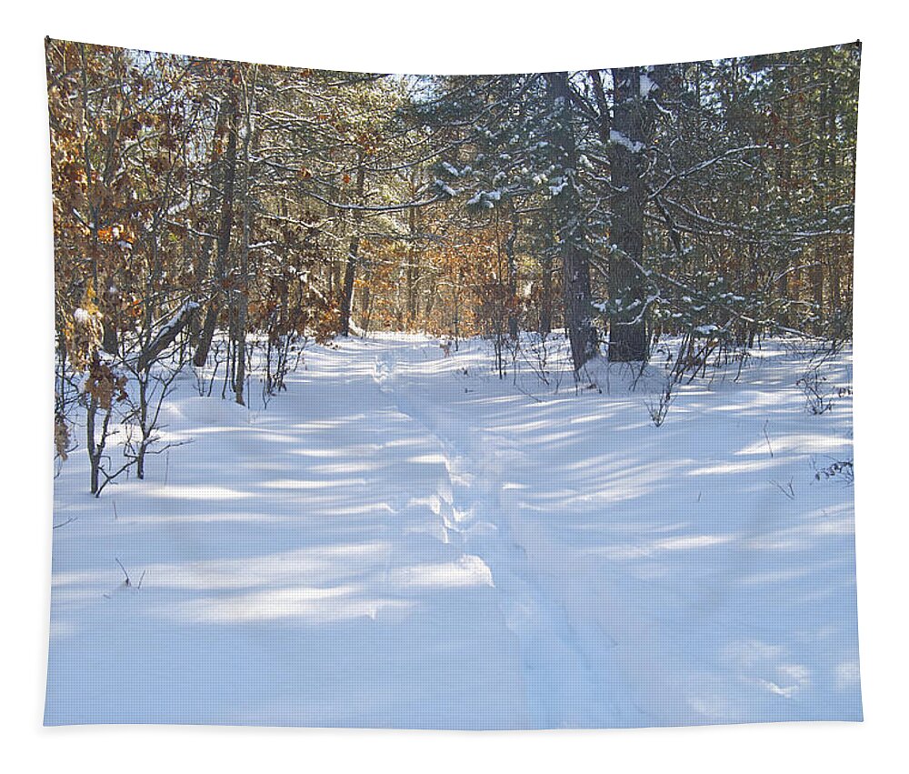 Woods Tapestry featuring the photograph Hoist Lake Trail by Michael Peychich