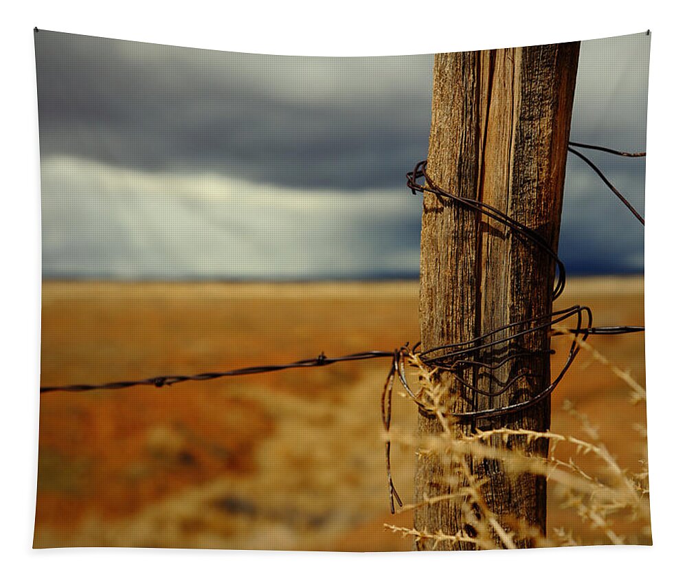 Country Tapestry featuring the photograph Hold Back The Storm by Mark Ross