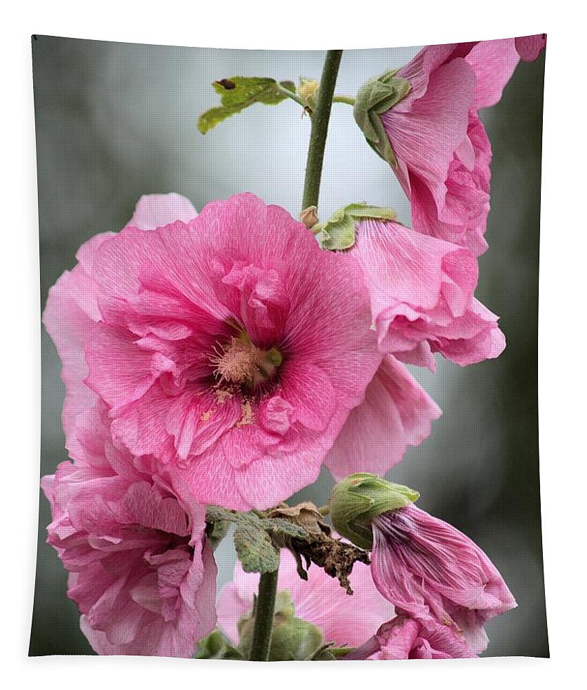 Hollyhock Tapestry featuring the photograph Hollyhock by Bonfire Photography