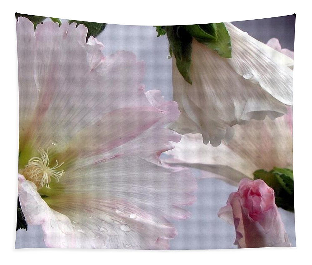 Hollyhock Tapestry featuring the photograph Hollyhocks by Jennifer Wheatley Wolf