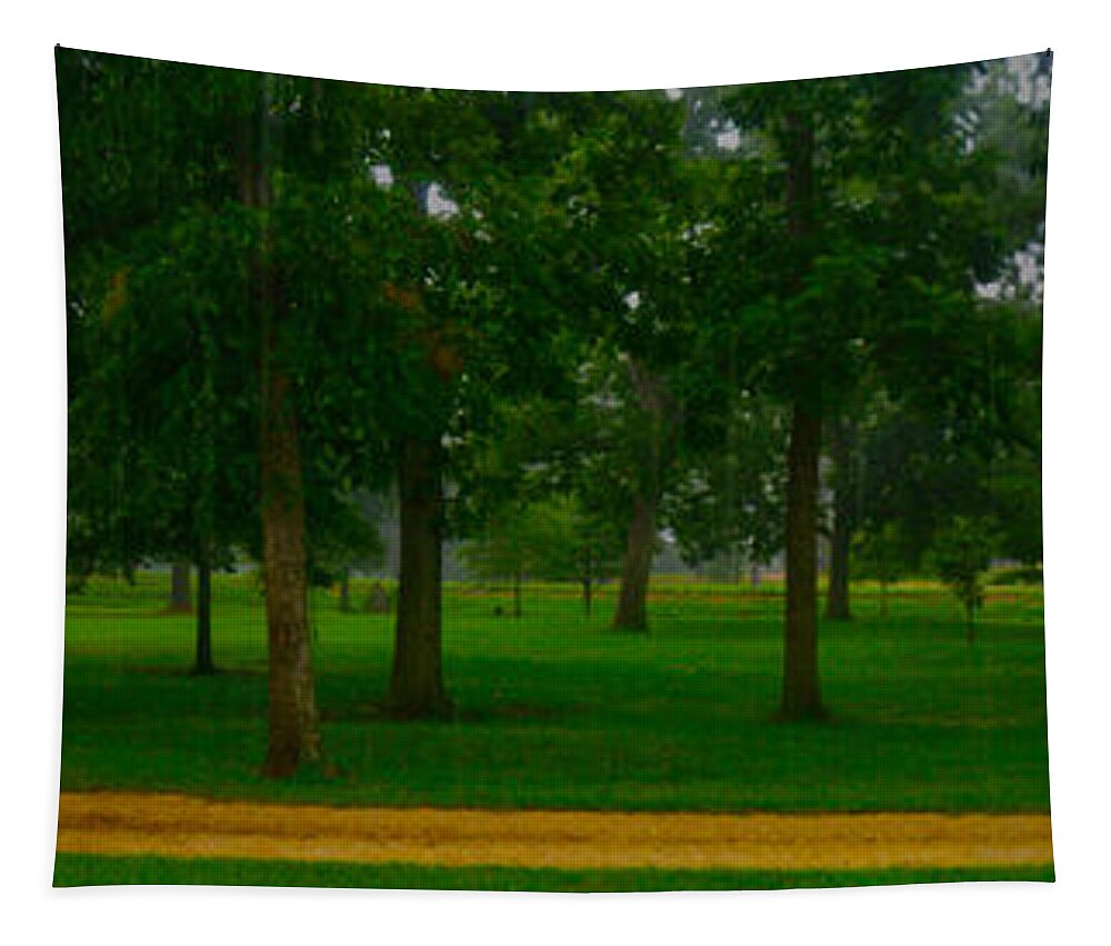 Panorama Tapestry featuring the photograph Home Circle II by Lanita Williams