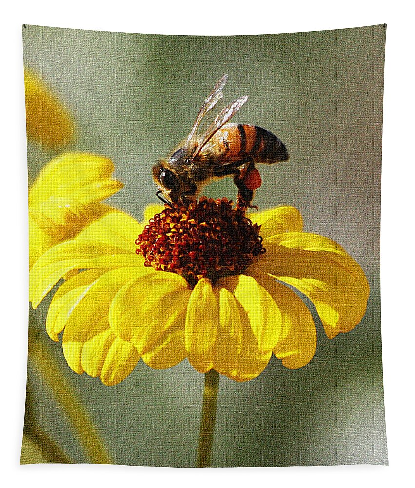 Honey Bee And Brittle Bush Flower Tapestry featuring the photograph Honey Bee And Brittle Bush Flower by Tom Janca
