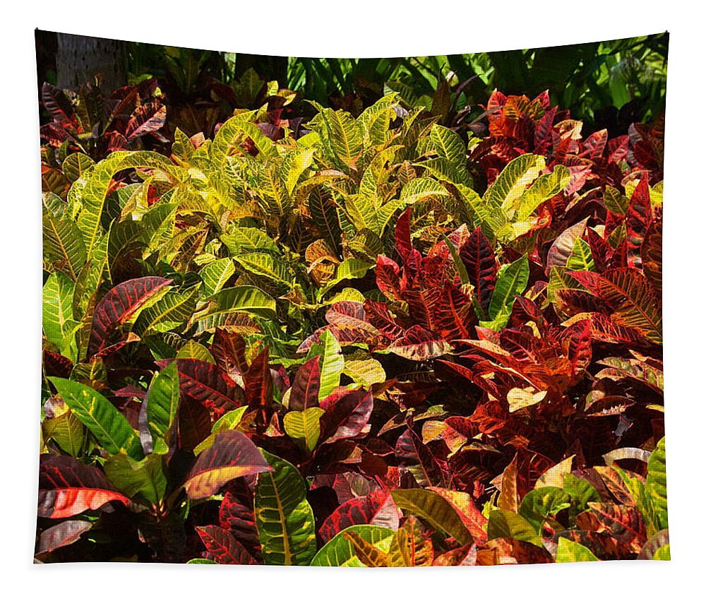 Flowers Tapestry featuring the photograph Honolulu Hi 18 by Richard J Cassato