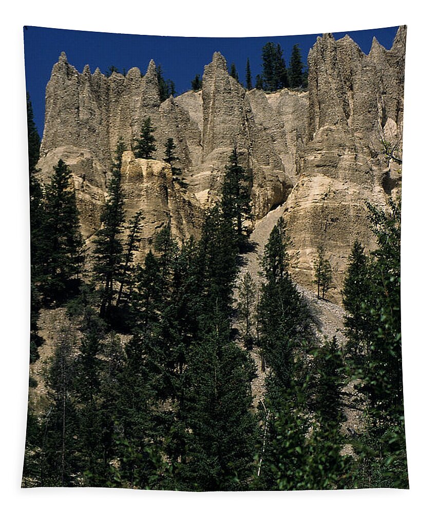British Columbia Tapestry featuring the photograph HooDoo's by Sharon Elliott