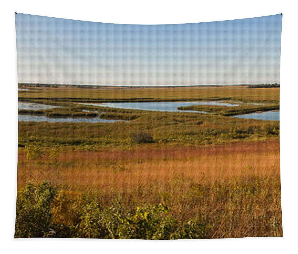 Birds Tapestry featuring the photograph Horicon Marsh by Steven Ralser