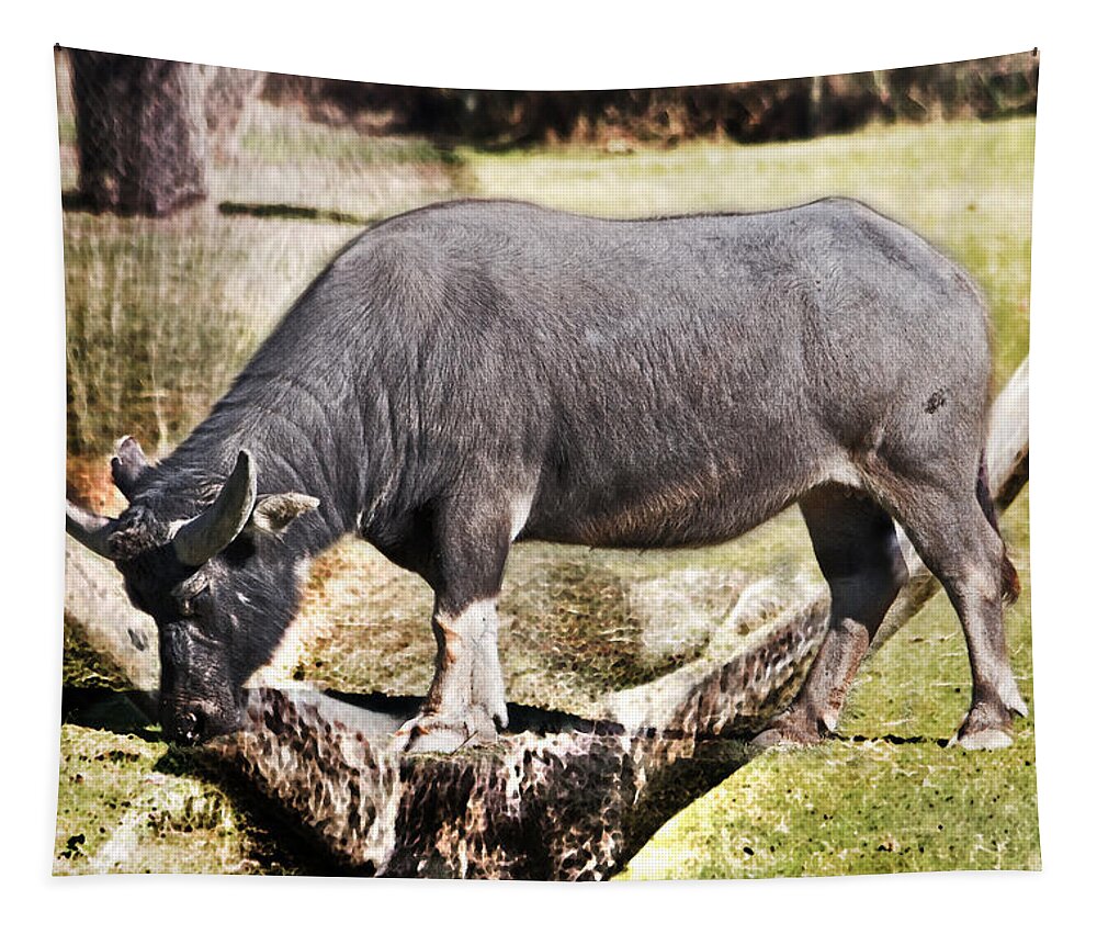 #water Buffalo Tapestry featuring the photograph Horn of a Buffallo by Miroslava Jurcik