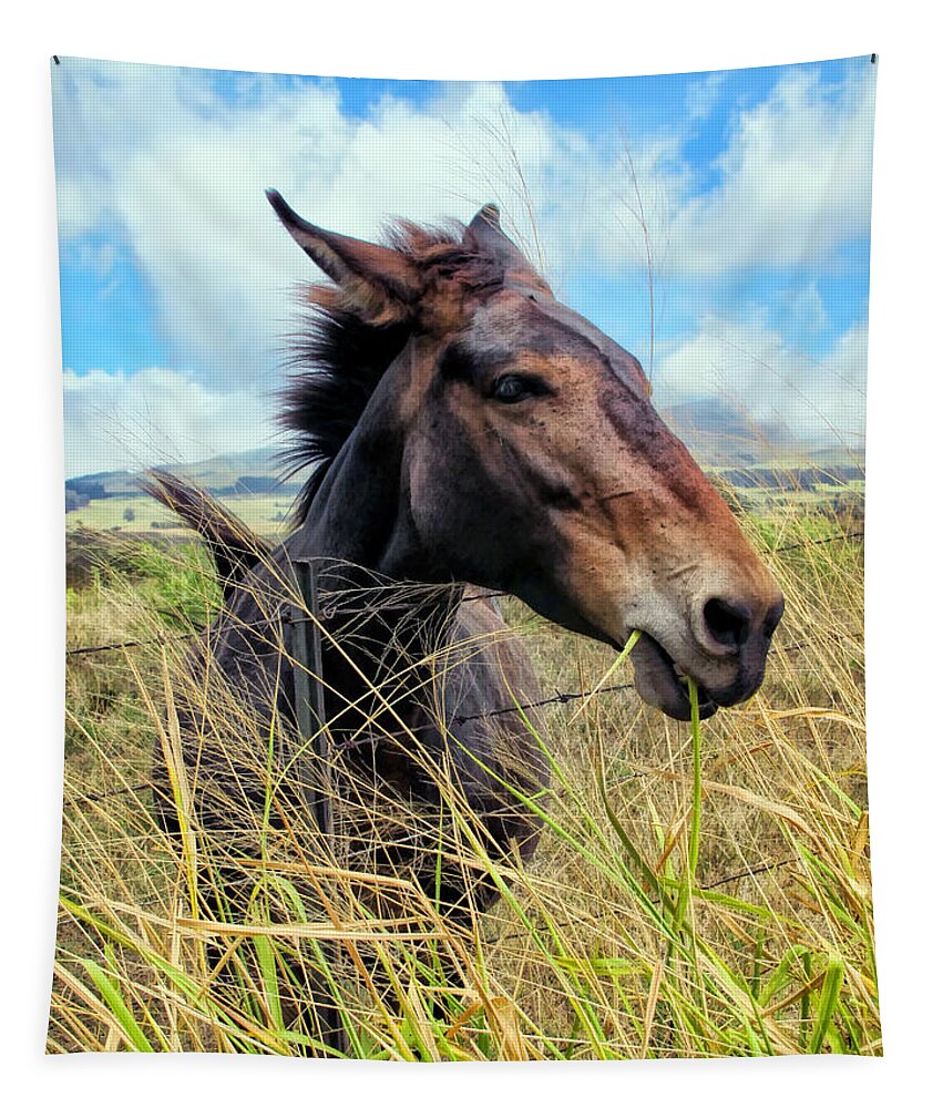 Horse Tapestry featuring the photograph Horse 6 by Dawn Eshelman