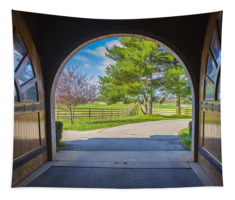 Animal Tapestry featuring the photograph Horse barn by Jack R Perry