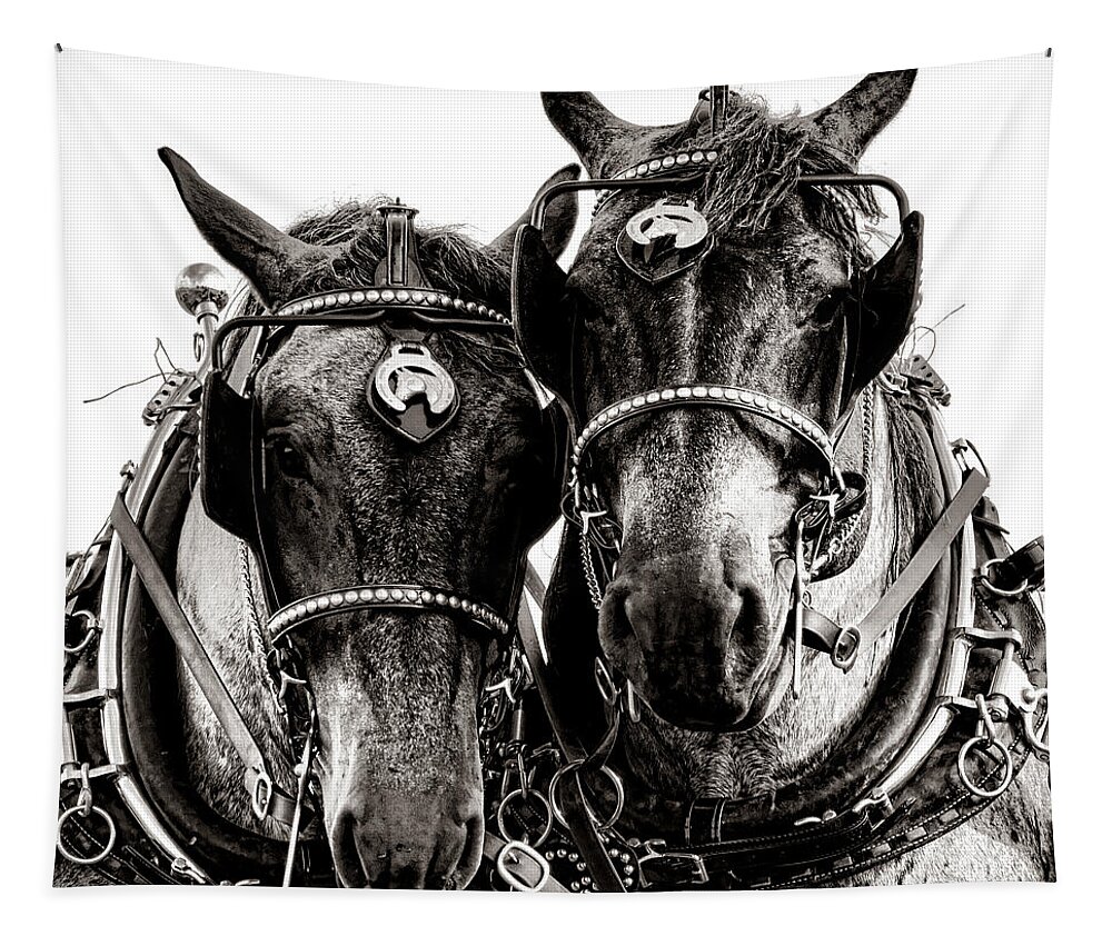 Belgian Tapestry featuring the photograph Horse Power by Olivier Le Queinec