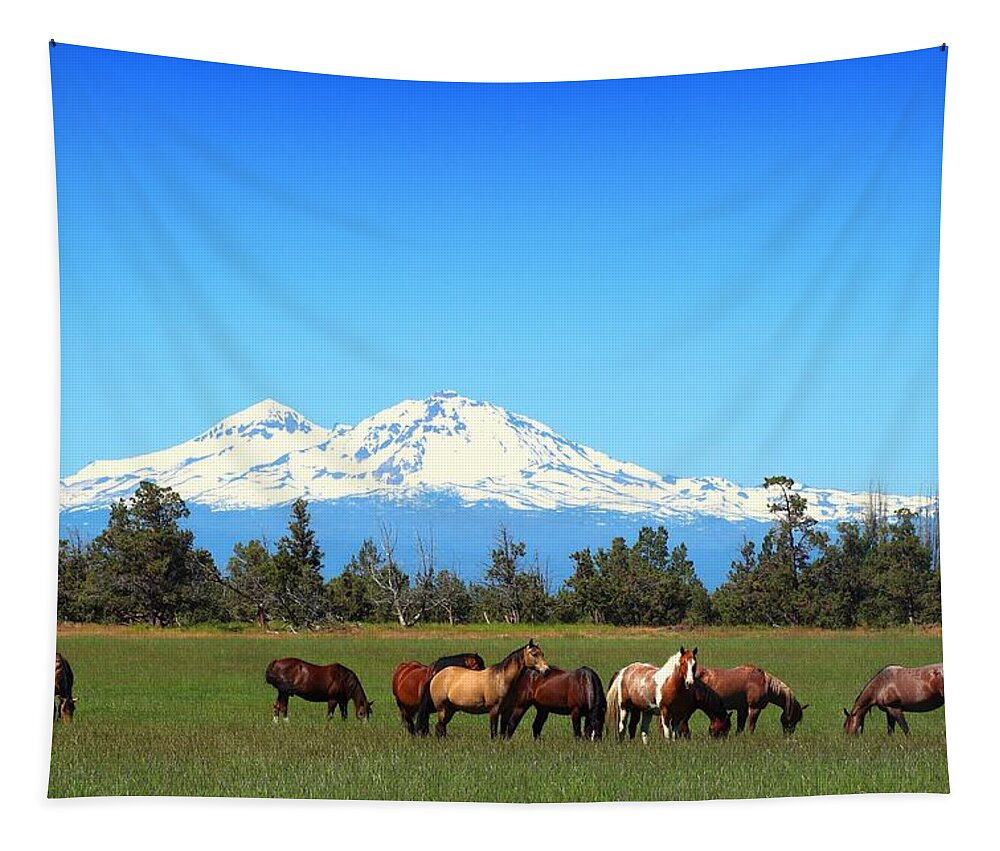 Sisters Mountain Tapestry featuring the photograph Horses at Sisters Mountain by Lynn Hopwood