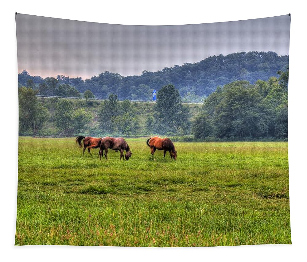 Horse Tapestry featuring the photograph Horses in a Field 2 by Jonny D