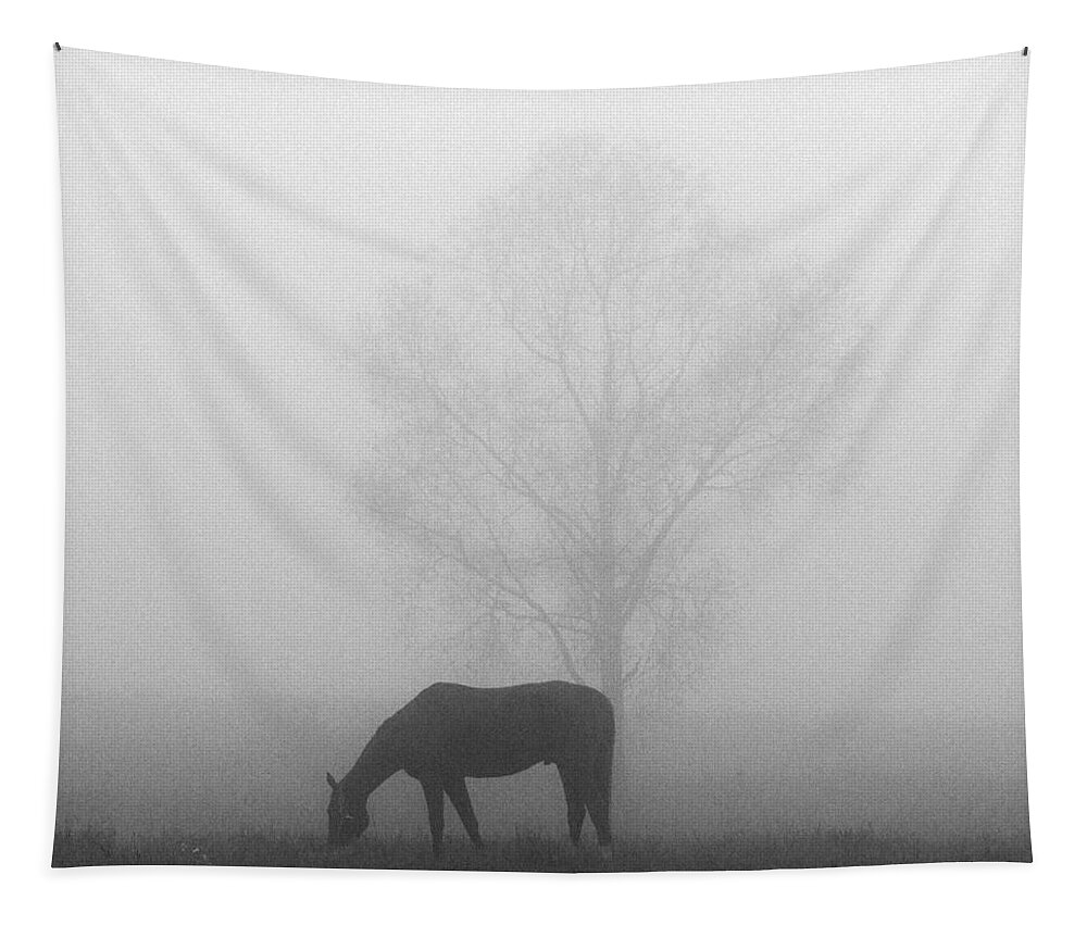 Finland Tapestry featuring the photograph Horses of the Fall bw by Jouko Lehto
