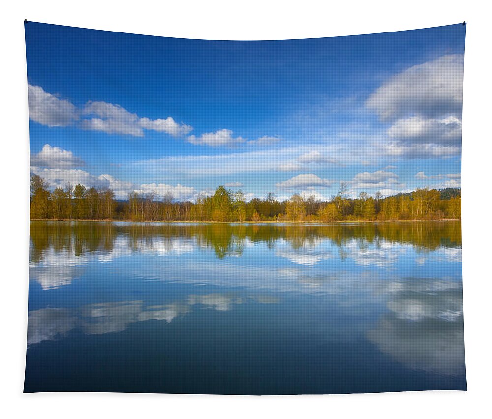 Lake Reflection Tapestry featuring the photograph Horseshoe Lake Reflections by Darren White