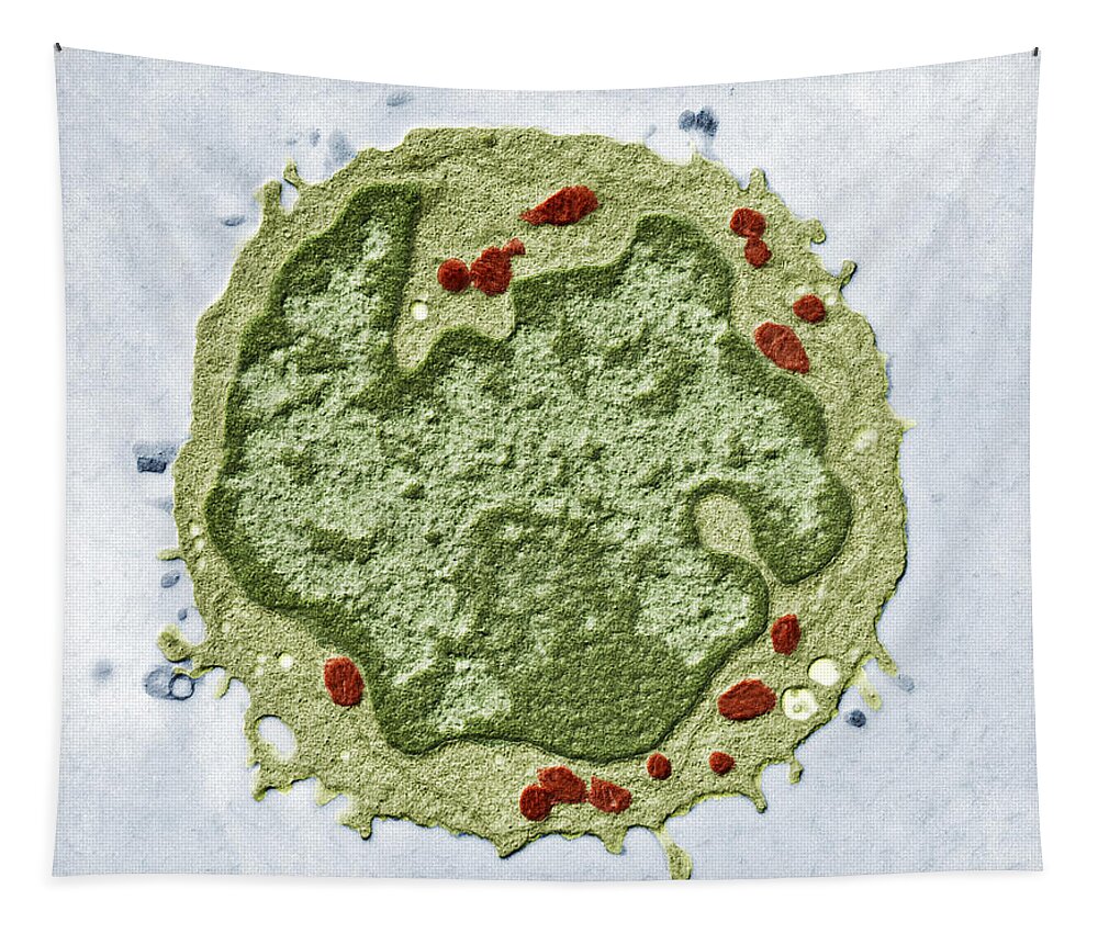 Cell Lymphocyte Tapestry featuring the photograph Human Lymphocyte, Tem by Eye of Science