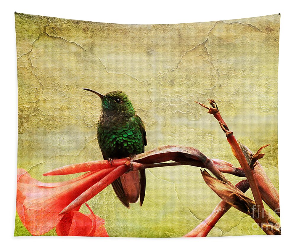 Bird Tapestry featuring the photograph Hummingbird 1 by Teresa Zieba