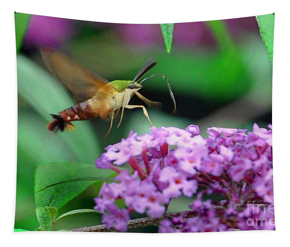 Nature Tapestry featuring the photograph Hummingbird Clearwing Moth by Gary Keesler