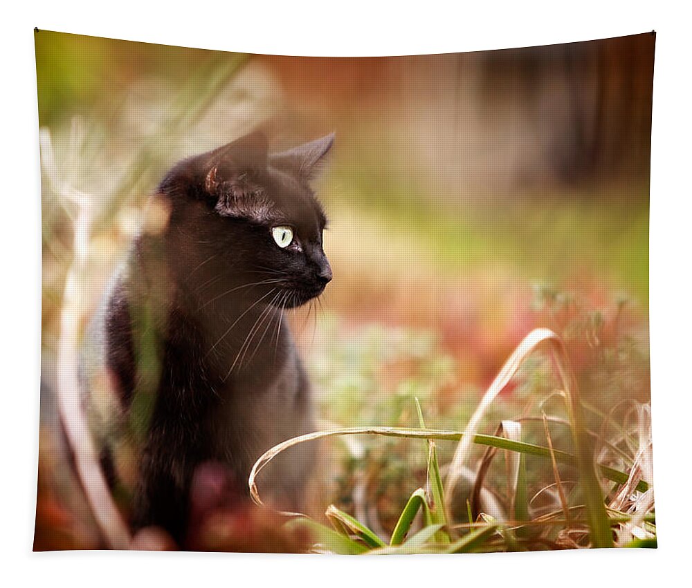 Cat Tapestry featuring the photograph Hunter by Ian Good