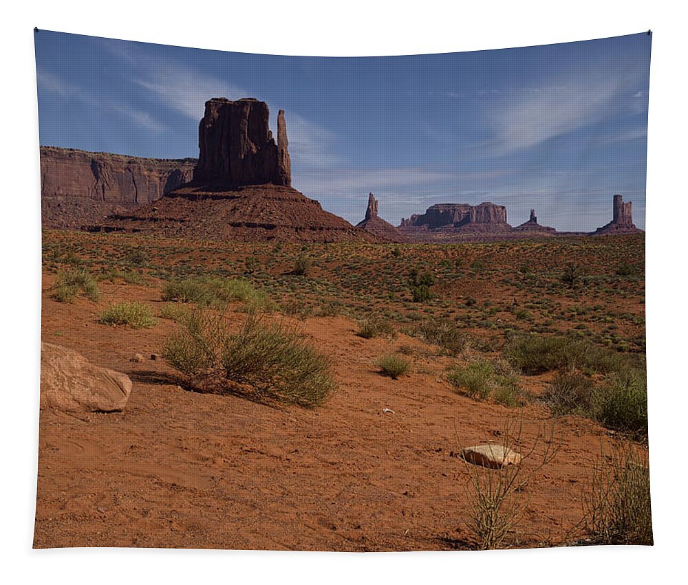 Monument Valley Tapestry featuring the photograph I Am Not Alone by Lucinda Walter