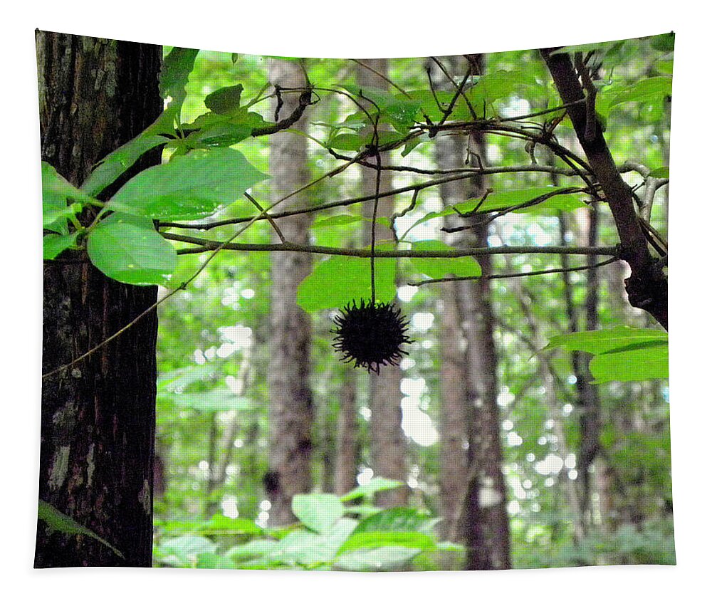 Forest Tapestry featuring the photograph I Hang Alone by Kim Galluzzo