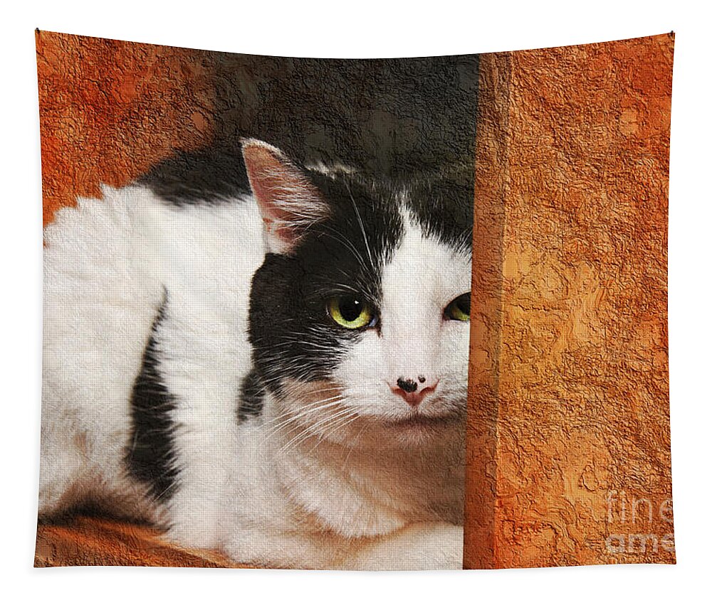 Cat Tapestry featuring the photograph I Have My Eye On You by Andee Design