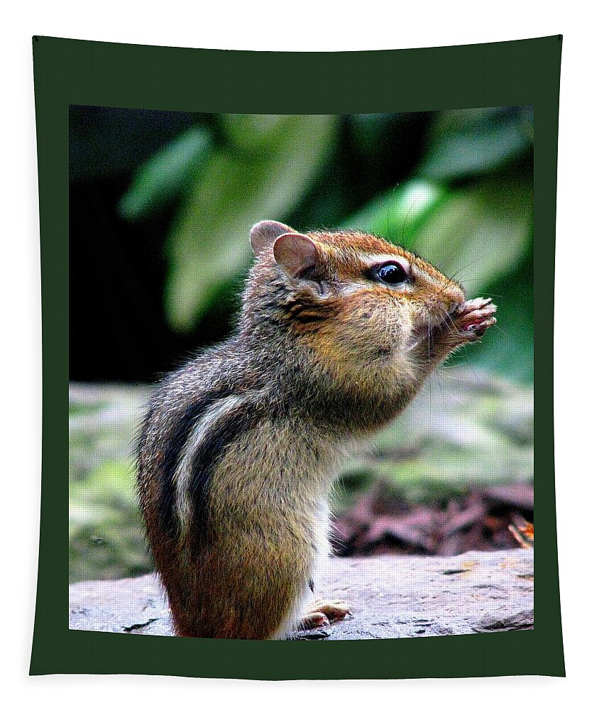 Chipmunks Tapestry featuring the photograph I Love The All You Can Eat Buffet by Angela Davies