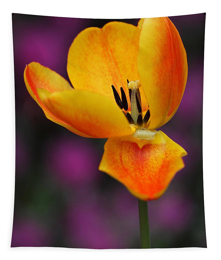 Tulip Tapestry featuring the photograph I still need Love by Juergen Roth