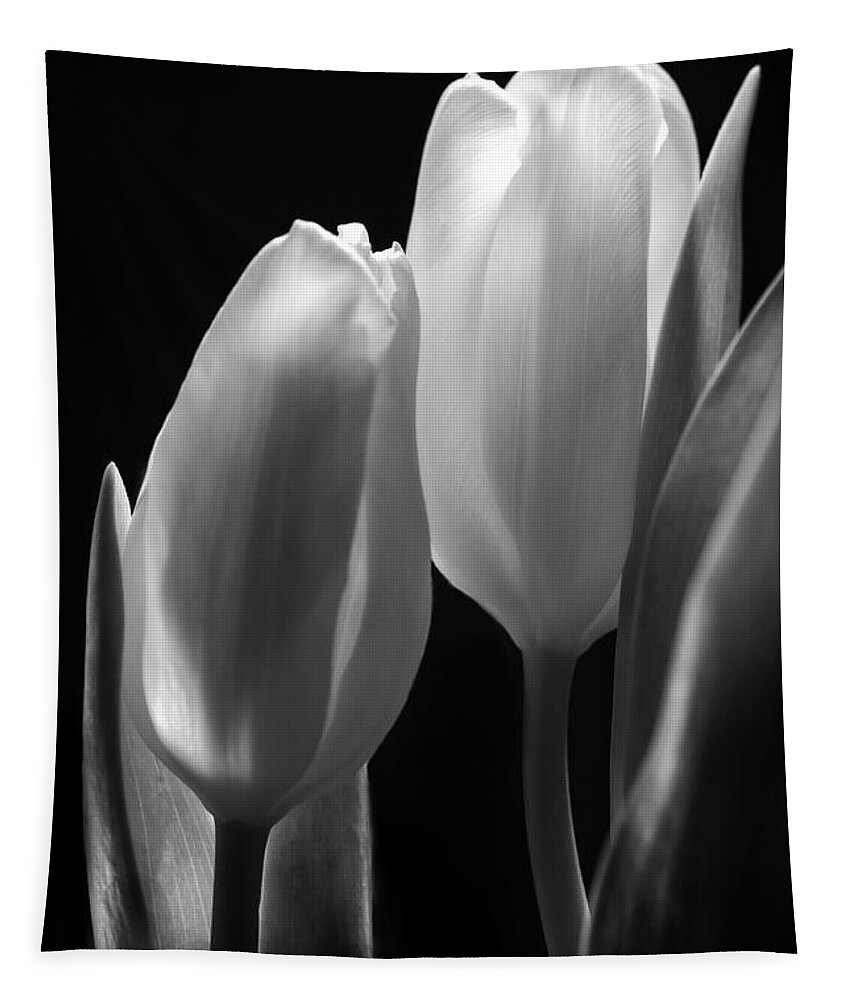 B&w Tapestry featuring the photograph I Want To Lay My Head On Your Shoulder by Sandra Parlow